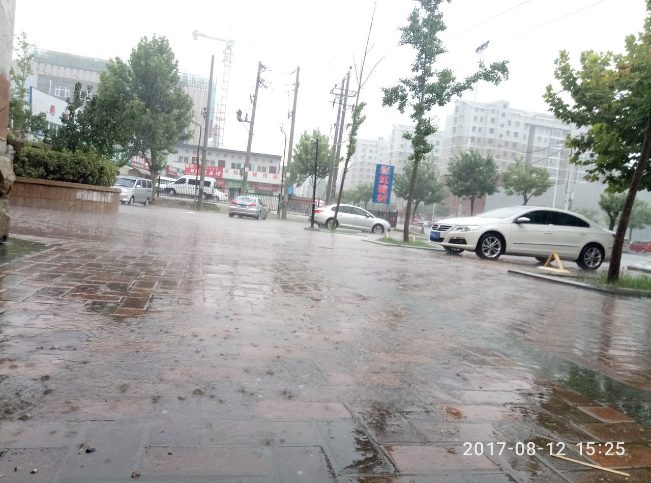 car, transportation, rain, land vehicle, tree, wet, mode of transport, water, weather, street, road, day, outdoors, architecture, no people, building exterior, city, sky