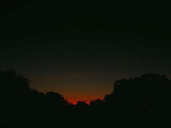 Silhouette trees against sky at night