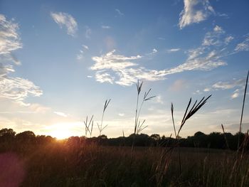Scenic view of field against sky during sunset