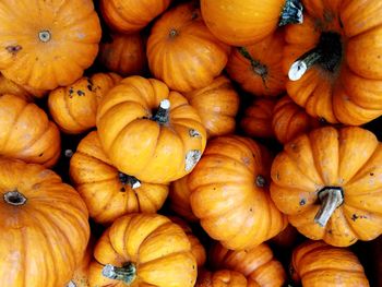 Full frame shot of pumpkins at market for sale