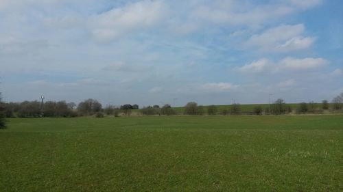 Scenic view of grassy field against sky