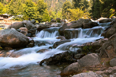 Scenic view of waterfall in forest