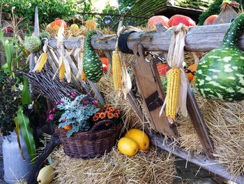 Various fruits hanging in basket at market stall