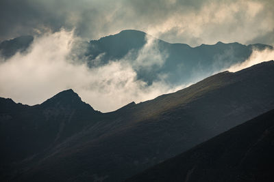 Alpine views from fagaras mountains, romania. summer carpathian landscapes.