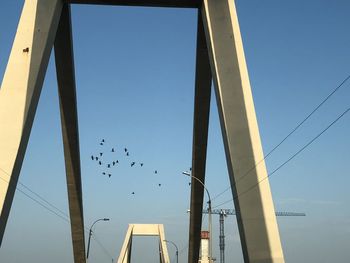 Low angle view of birds flying against clear blue sky