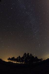 Low angle view of silhouette trees against star field at night