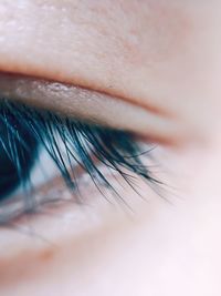 Close-up of woman eye