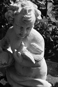 Close up of plant against blurred background