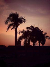 Silhouette palm trees at beach against sky during sunset