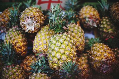 Close-up of fruits on plant