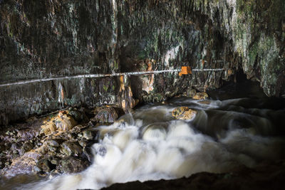 View of waterfall in forest