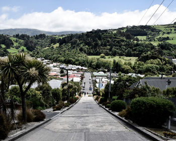 Road amidst plants and trees against sky in city