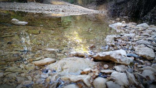 Reflection of rocks in water