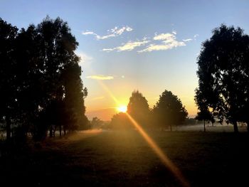 Sunlight streaming through trees on field during sunset