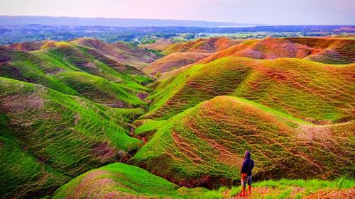 Scenic view of field against mountain