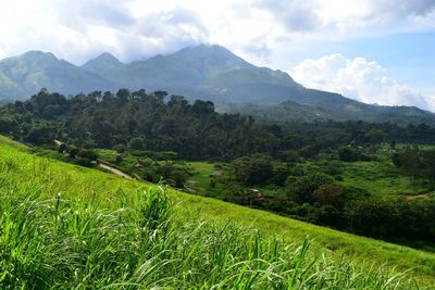 Scenic view of green landscape and mountains