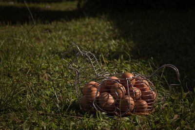 High angle view of wicker basket on field