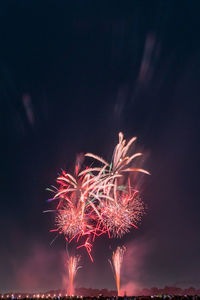 Low angle view of firework display at night