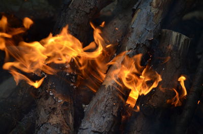 Close-up of fire on wood