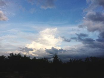 Low angle view of silhouette trees against sky