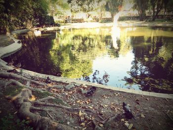 High angle view of pond in park