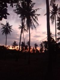 Silhouette palm trees against sky during sunset