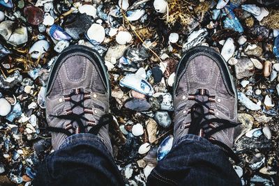 Low angle view of trees
