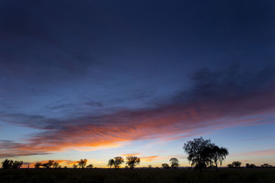 Silhouette trees on field against dramatic sky