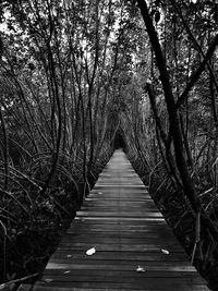 View of wooden footbridge in forest