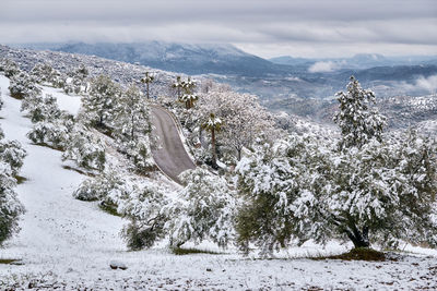 Scenic view of snow covered land and mountains