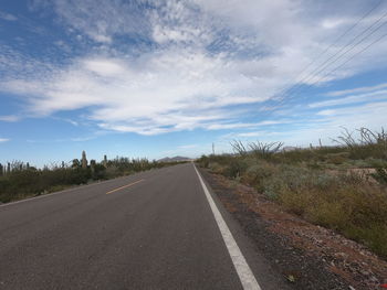 Road amidst plants against sky