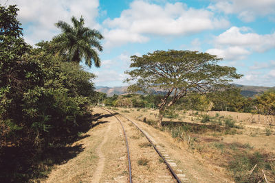 Railroad track amidst trees against sky