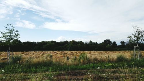 Scenic view of field against cloudy sky