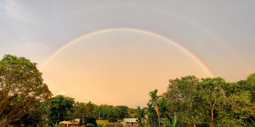 Scenic view of rainbow over buildings against sky