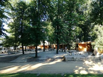 Trees in front of building