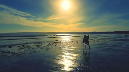 Silhouette man walking on beach against sky during sunset