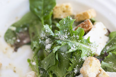High angle view of salad with parmesan and croutons on white dish