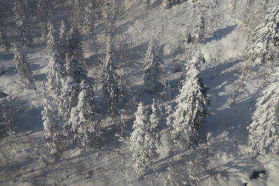 Full frame shot of snow covered mountain