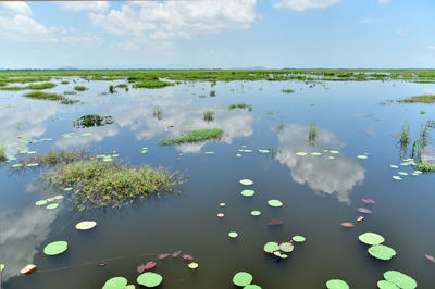 Scenic view of lake against sky