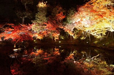 Reflection of trees in lake during autumn