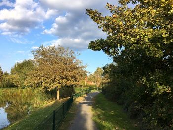 Road amidst trees against sky