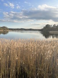 Scenic view of lake against sky