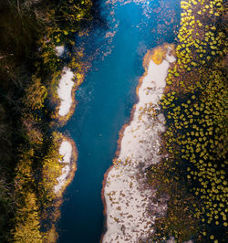 High angle view of plants by sea