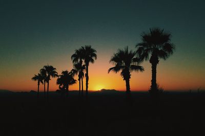 Silhouette palm trees against sky during sunset