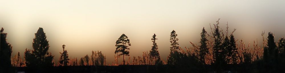 Scenic view of landscape against sky at sunset