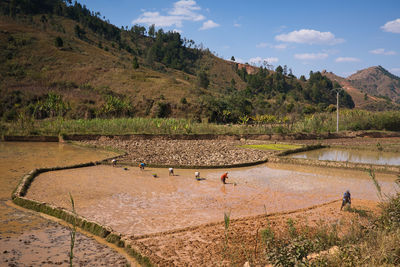 Scenic view of landscape against sky