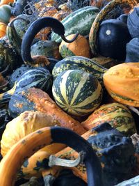 Full frame shot of pumpkins