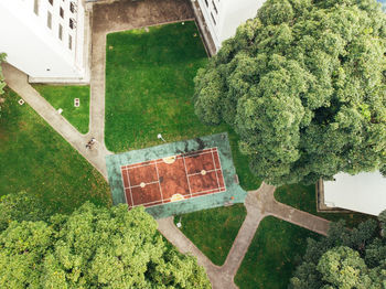 High angle view of trees and plants on field