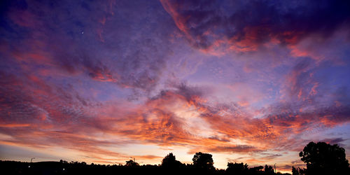 Low angle view of silhouette trees against dramatic sky