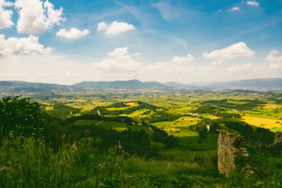 Scenic view of agricultural field against sky